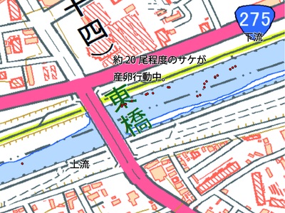 東橋観察ポイント