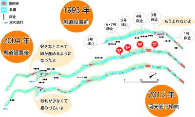 産卵域推移