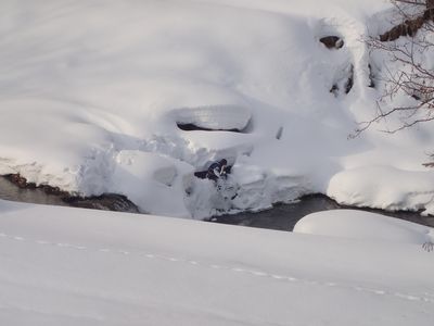 雪こぎの様子②
