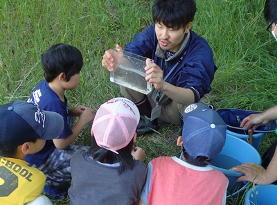 魚の解説