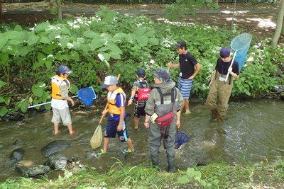 精進川魚取り