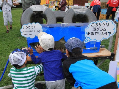 重さ当て予想のサケ