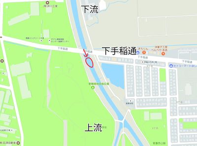星置川サケ観察ポイント
