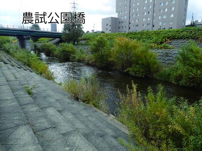 農試公園橋観察ポイント