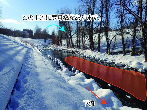 20171208琴似発寒川観察ポイント①_寒月橋下流